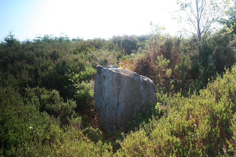 Camlo Hill Stone