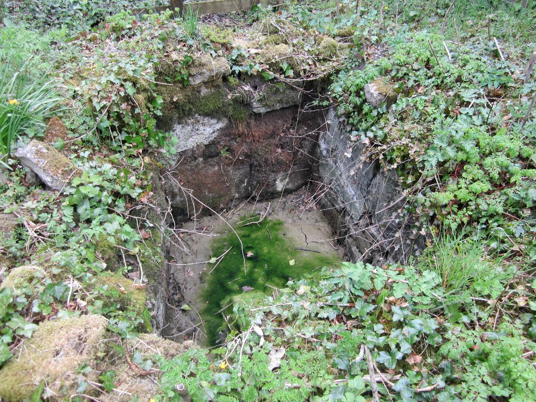 St Anne's Well (Llanmihangel)