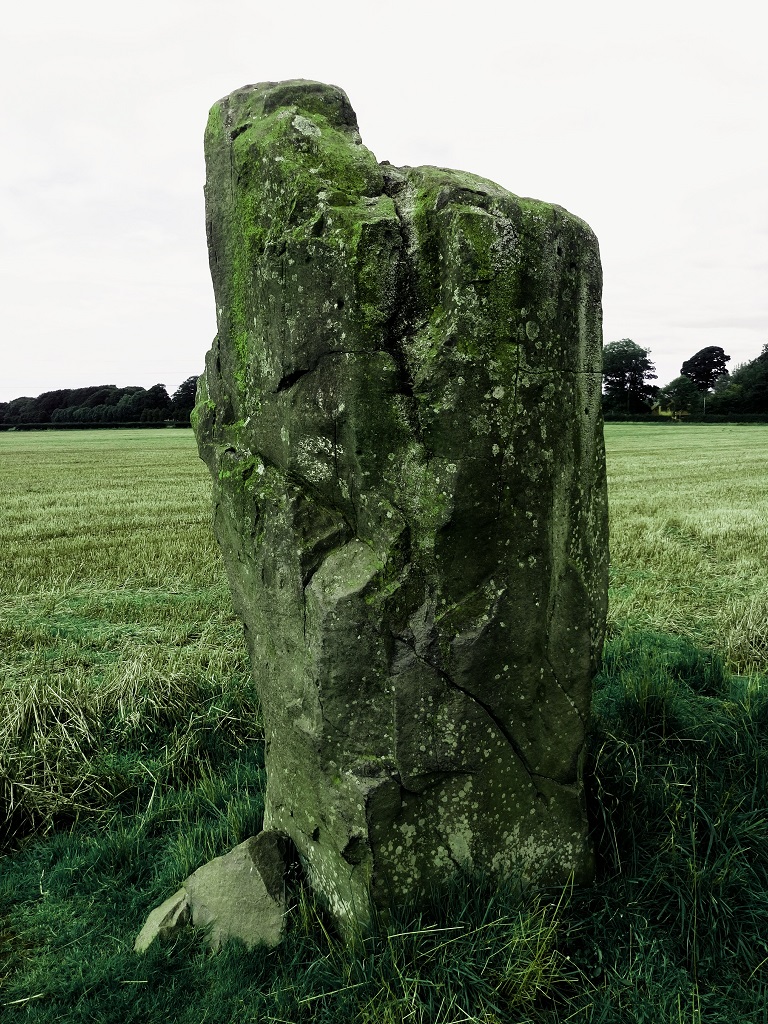 Drybridge