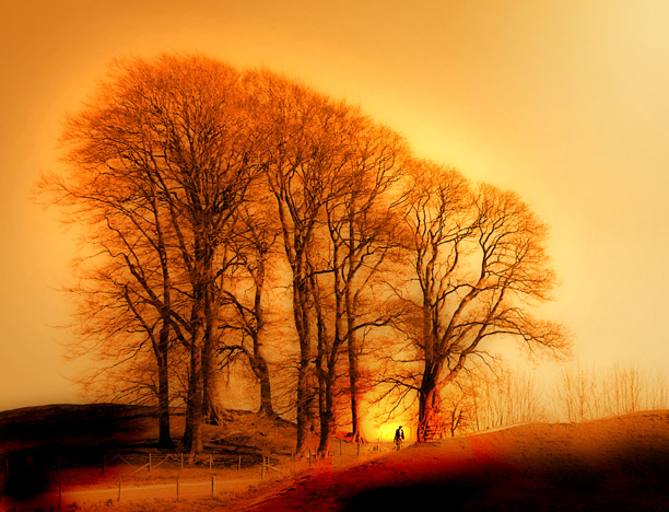 Click for the gallery page to add comments and vote (PID:5410) Avebury