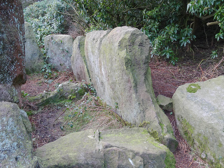 Bridestones north wall slab tail (Draconis) The high, abrupt tail of the north sidewall is markedly similar to the corresponding wall at the Five Wells tomb in Derbyshire. Notice the central 'spine' running from top to bottom is common to both tombs. This might be the tail between two hind legs.
If you are familiar with, or can find, William Blake's watercolour of Leviathan and Behemoth, two primordial monsters mentioned in the Old Testam