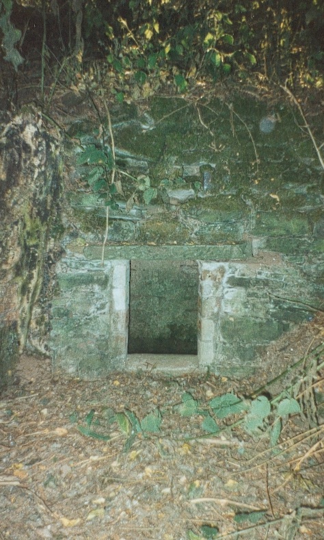 St Ann's Well (Aconbury)