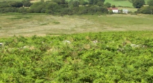 Cefn Bryn Cairn 3 - PID:22149