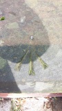 An Ordnance Survey (mapmaking) benchmark - PID:113591