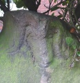 The Bridestones (Cheshire) (Draconis) - PID:145228