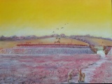 Warham Camp - PID:291377
