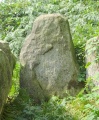 Bridestones backstone  (Draconis) - PID:145222