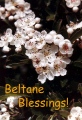 Beltane - PID:13457