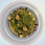 Little Planet Ardlair