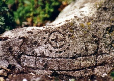 Sun Ship - PID:5503 Sun Ship - PID:5503