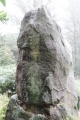 The Bridestones (Cheshire) (Draconis) - PID:145230