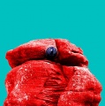 Red Rock - PID:4150