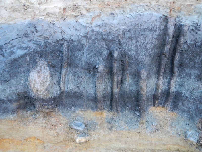 Mesolithic Fish Trap US Embassy, London
