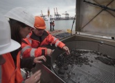 Mesolithic remains discovered in the port of Rotterdam submitted by Andy B