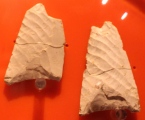 Pressure flaked arrowheads from Avebury - PID:78812