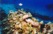 Mirabello Bay - PID:17217