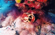 Mirabello Bay - PID:17218