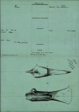 Micropasts - help research over 30,000 Bronze Age tools and weapons