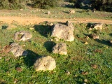 Adze site - Spain - PID:164750