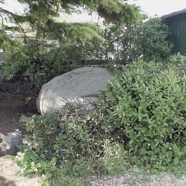 Photo used by kind permission of Tom Bullock. More details of this location are to be found on his Stone Circles and Rows CD-ROM