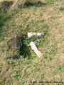 Balladoole Cist - PID:6172