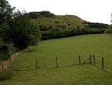 Cronk Sumark - PID:109445