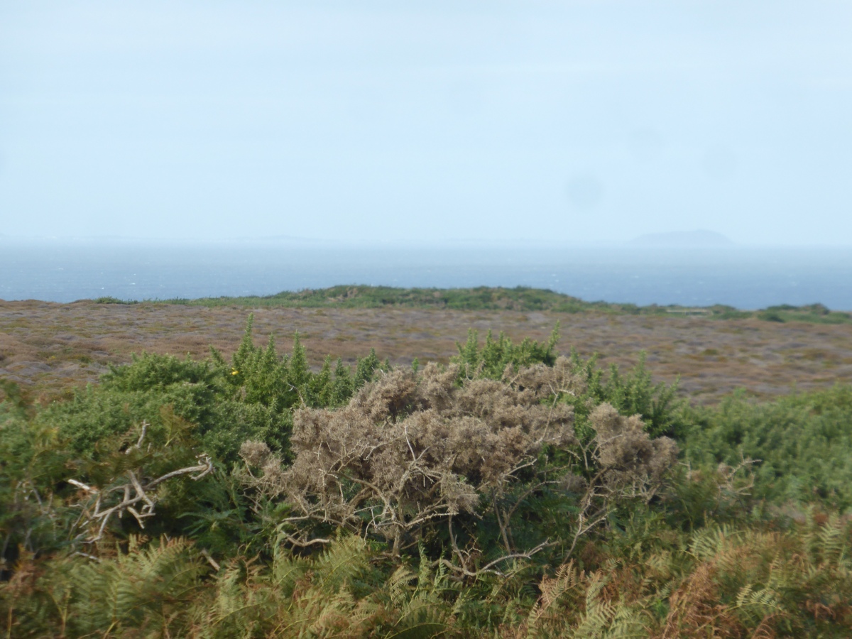 Click for the gallery page to add comments and vote (PID:264481) La Hougue des Grosnez