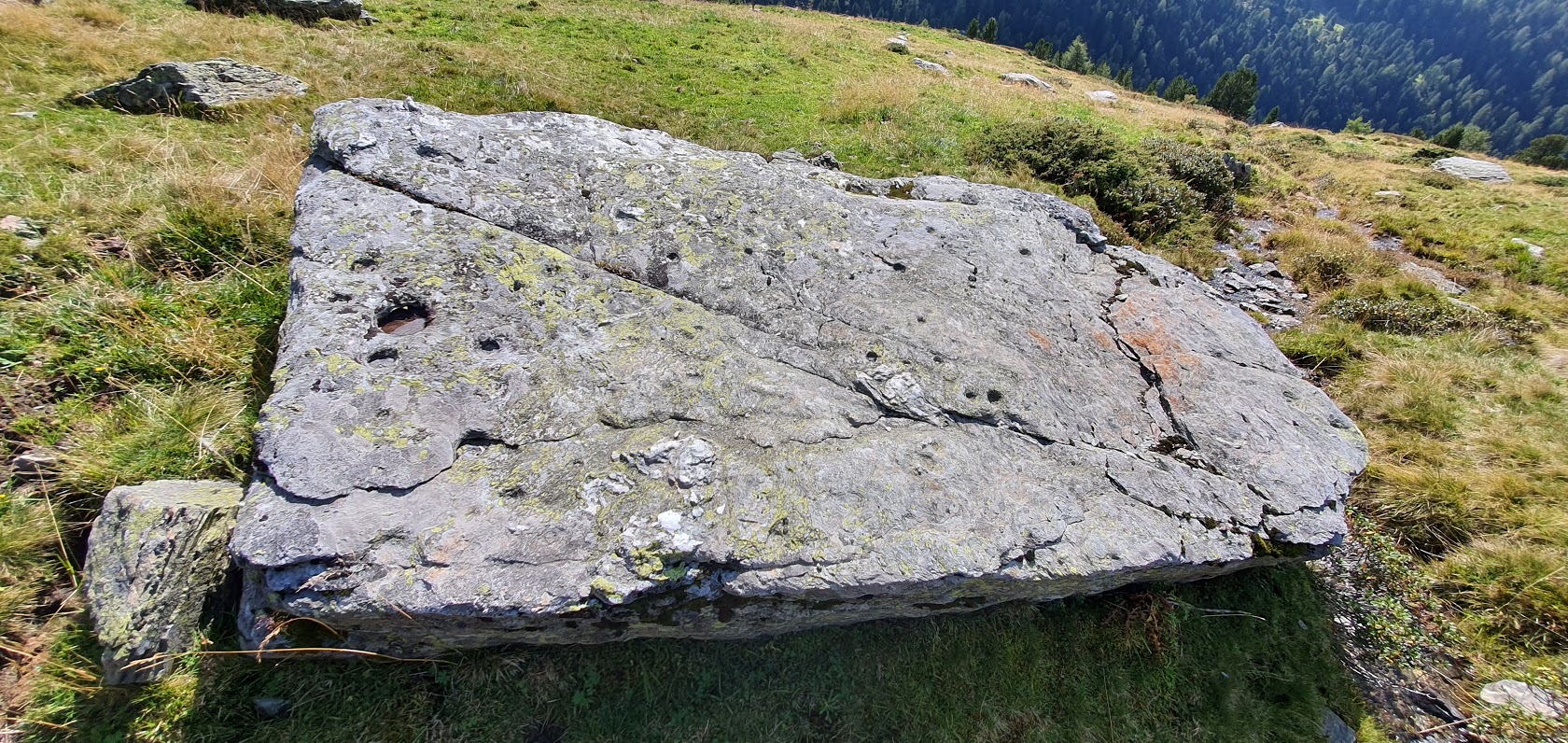 Cupstone Menhir Viggar Valley Tyrol