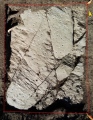 Cupstone Slabs-Graveyard Tarzens - PID:287627