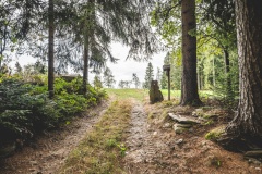 Strallegger Lochstein - PID:312037