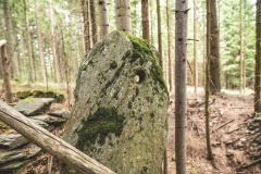 Lochstein vom Kohlweg