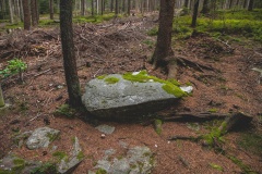 Strallegger Bildstein - PID:311961