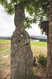 Mannstein - PID:311960