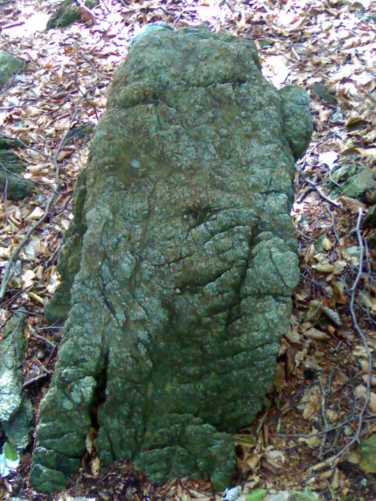 Faiallo's Standing stone 2