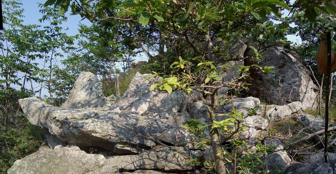 The Megaliths of Sparossino