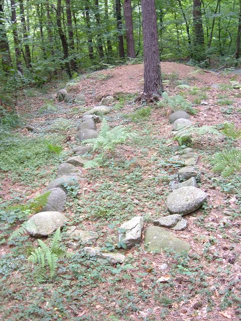 Cromlech located at Golasecca's Archeological Area.