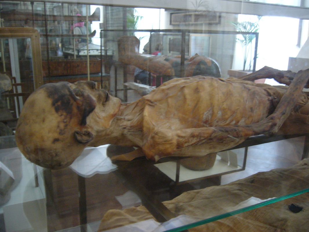 Click for the gallery page to add comments and vote (PID:120617) Museo Egizio