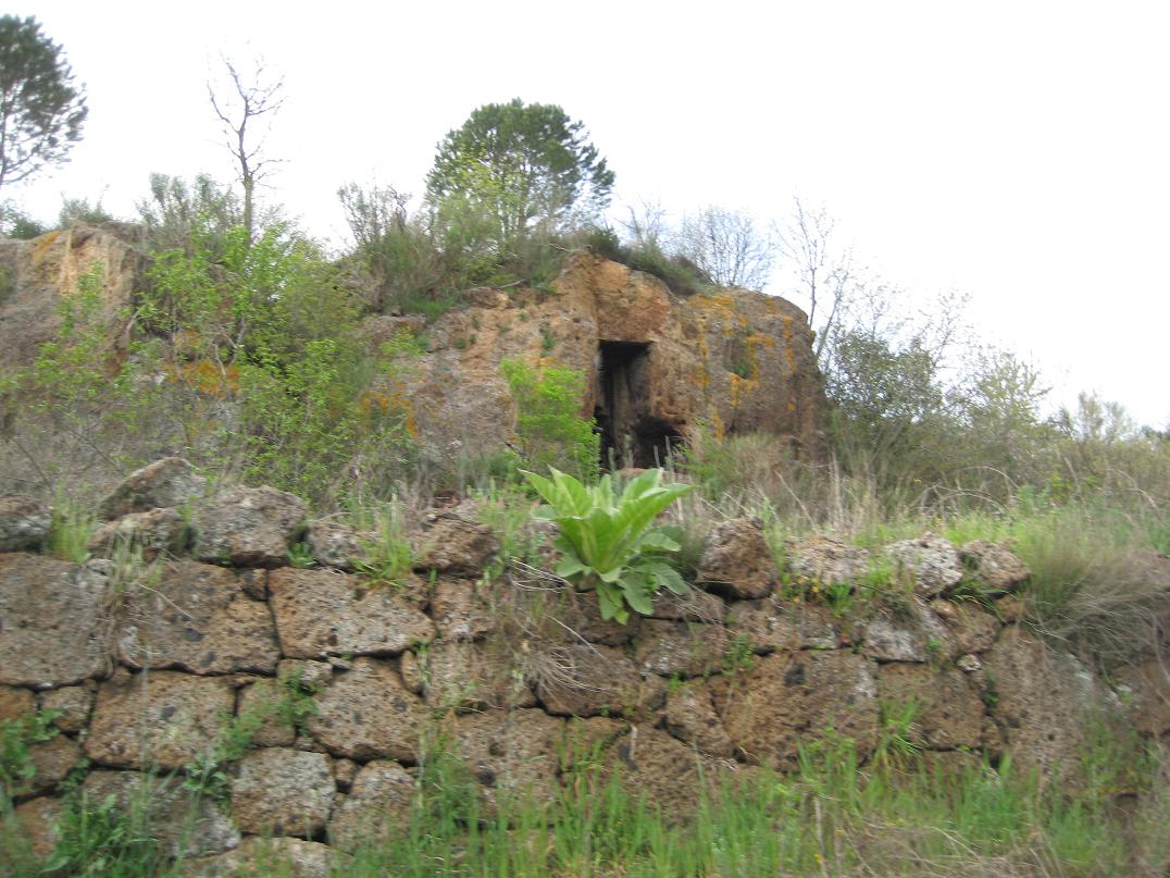 Civitella Cesi Etruscan Tomb