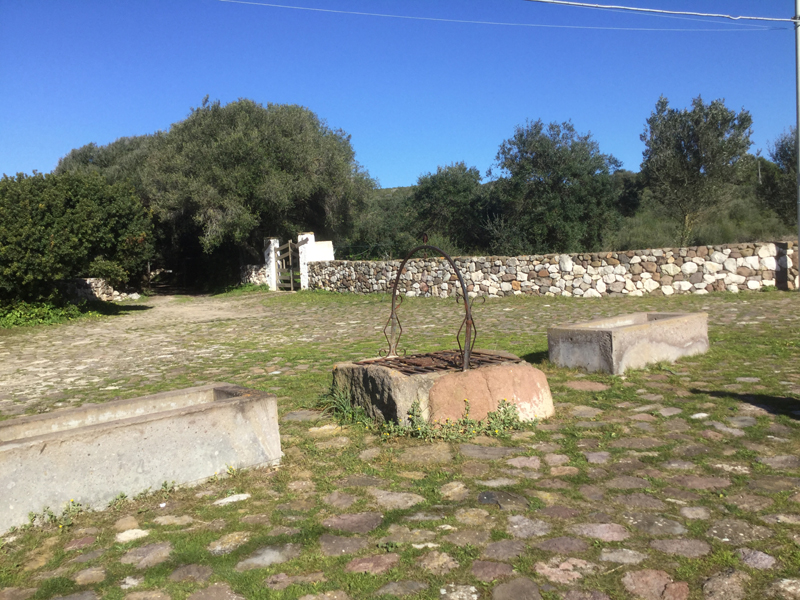 Click for the gallery page to add comments and vote (PID:190964) Cannai Pozzo Nuragico
