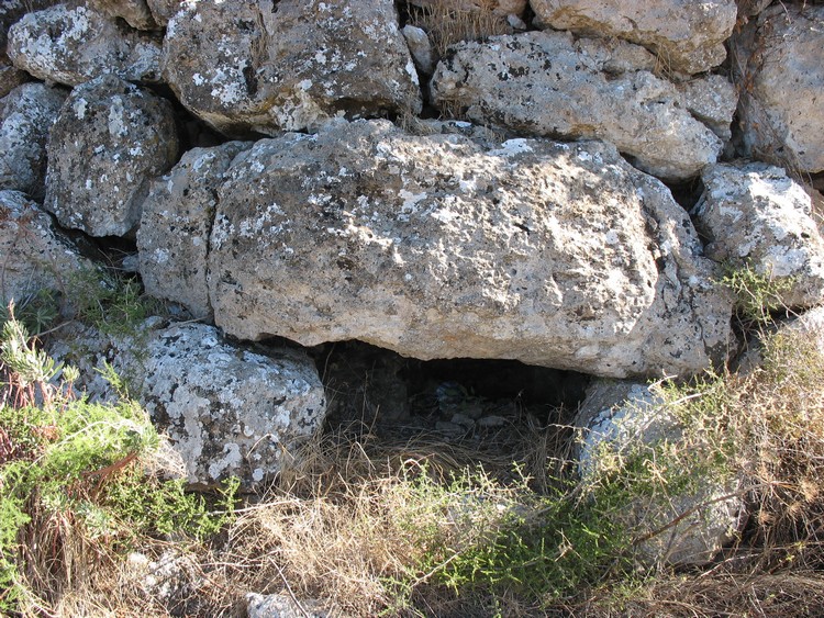 Friarosu Protonuraghe