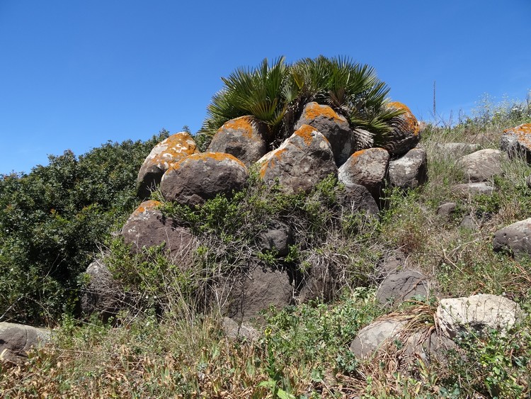 Giovanni Nieddu Nuraghe