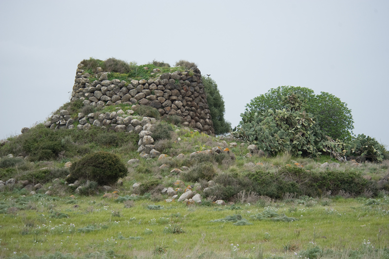 Click for the gallery page to add comments and vote (PID:148917) Tradori Nuraghe