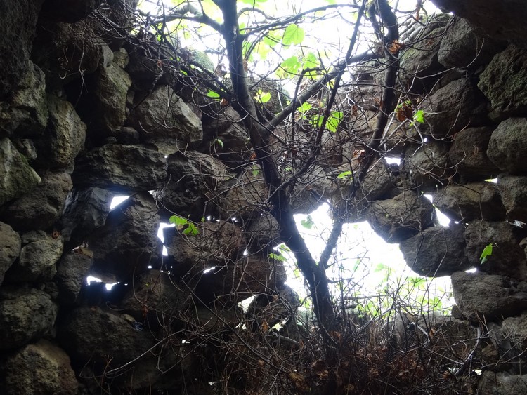 Longu Nuraghe (Sedini)