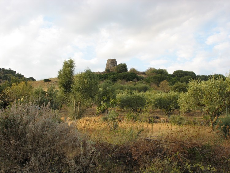 Madrone Nuraghe