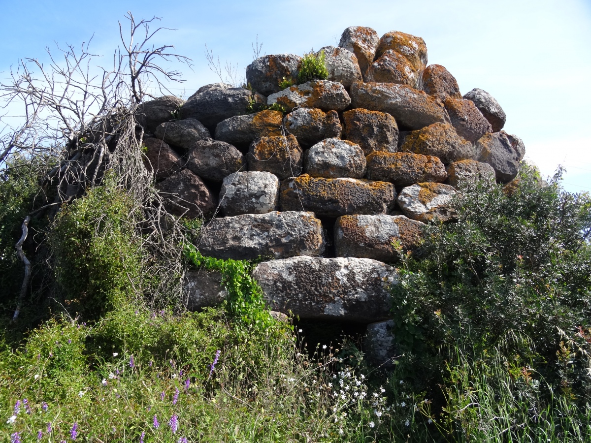 Click for the gallery page to add comments and vote (PID:290230) Quau Nuraghe