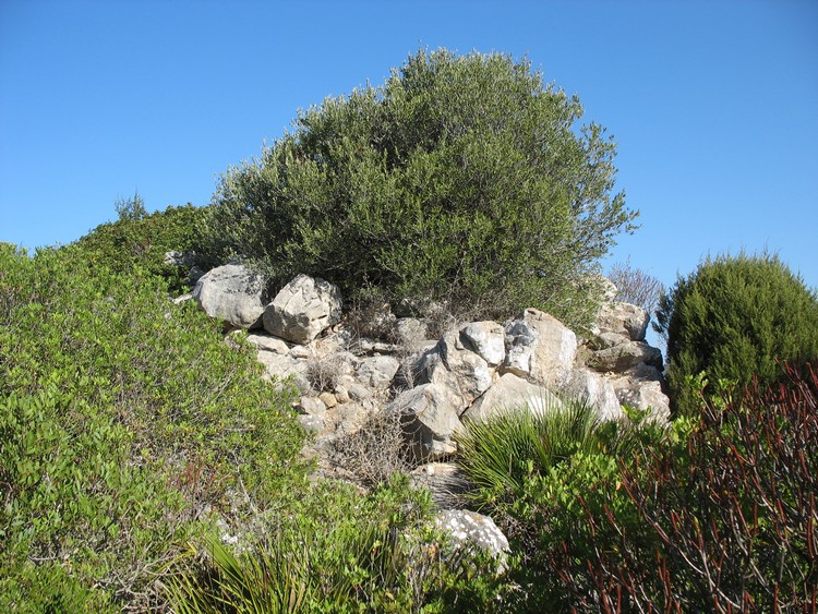 Monte s'Orxiu Nuraghe