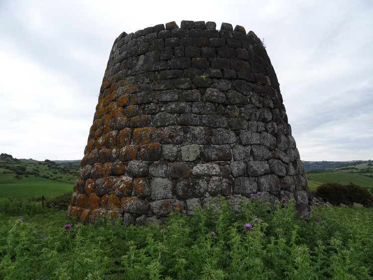 Nieddu Nuraghe (Codrongianos)