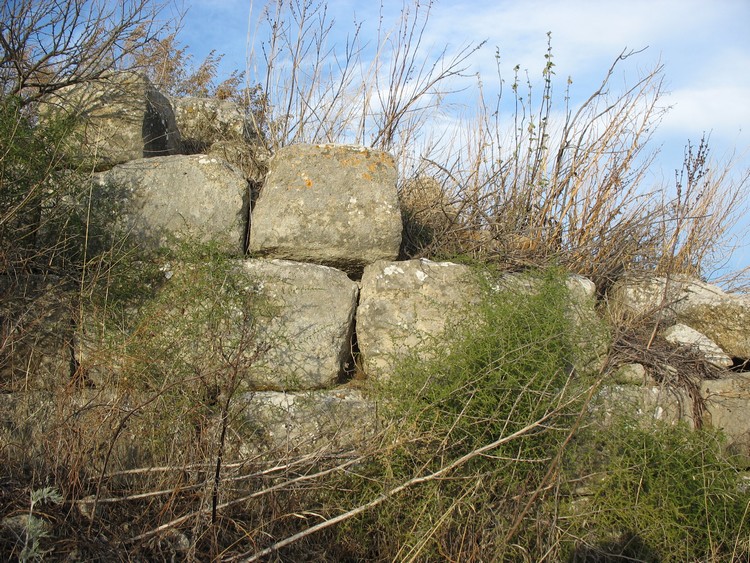 Nuraceddeu Nuraghe
