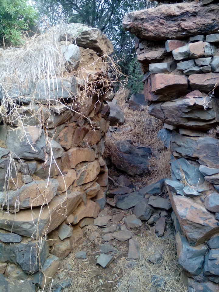 Click for the gallery page to add comments and vote (PID:204161) Pruna Cristi Nuraghe