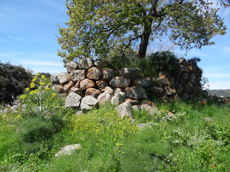 Corodda Nuraghe